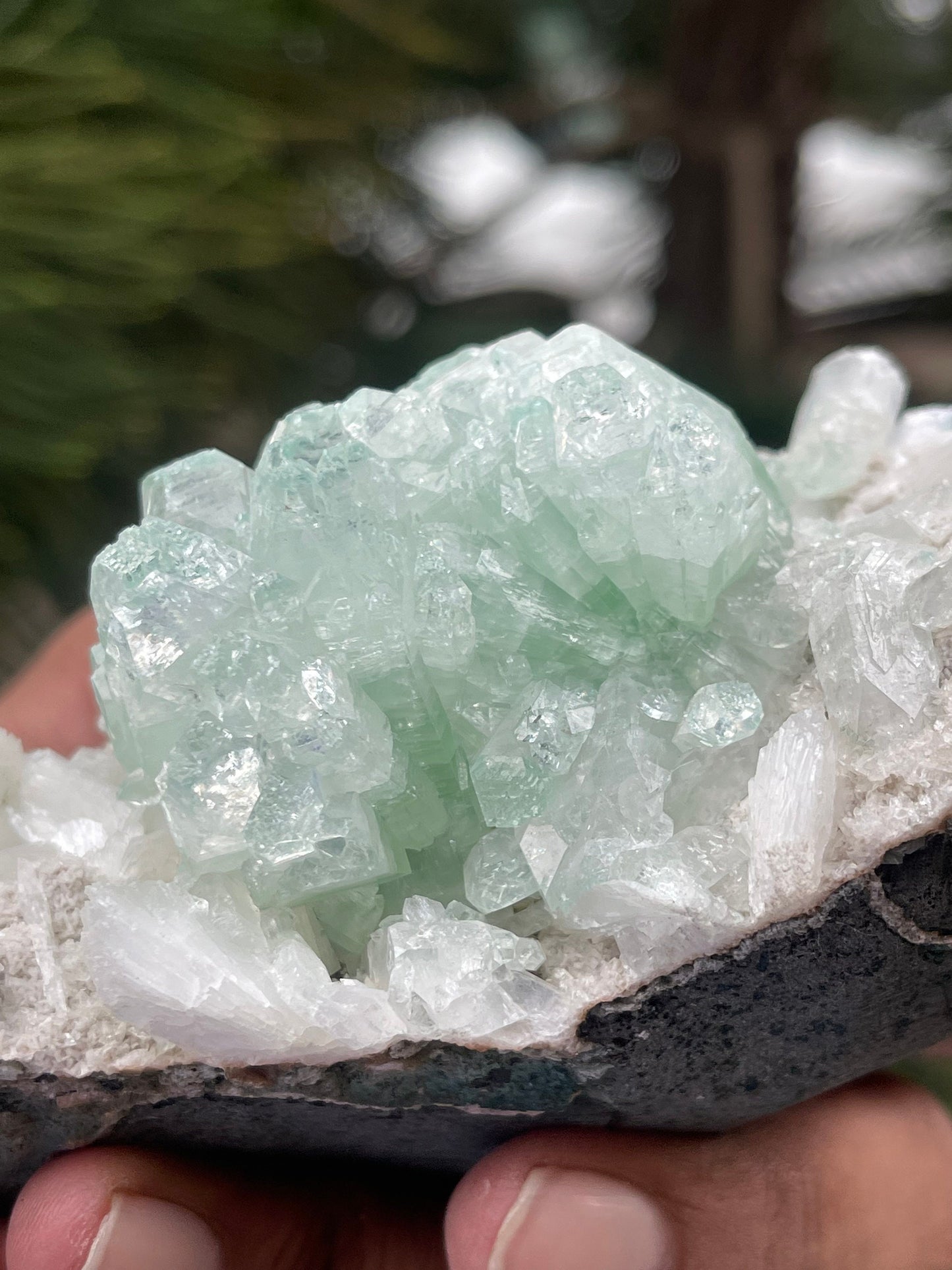 Green apophyllite crystals with stilbite