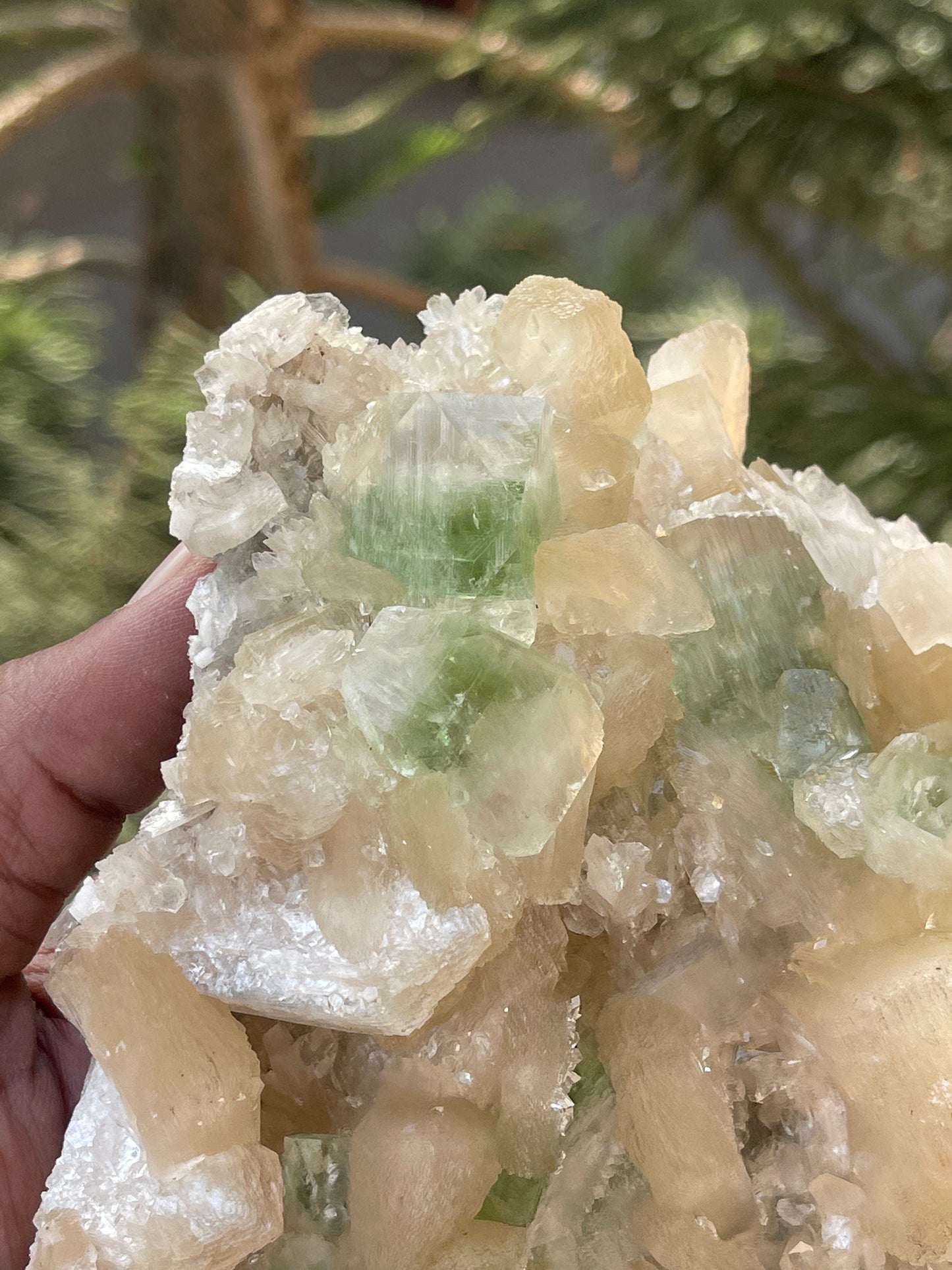 Cubicle green apophyllite crystal on stilbite