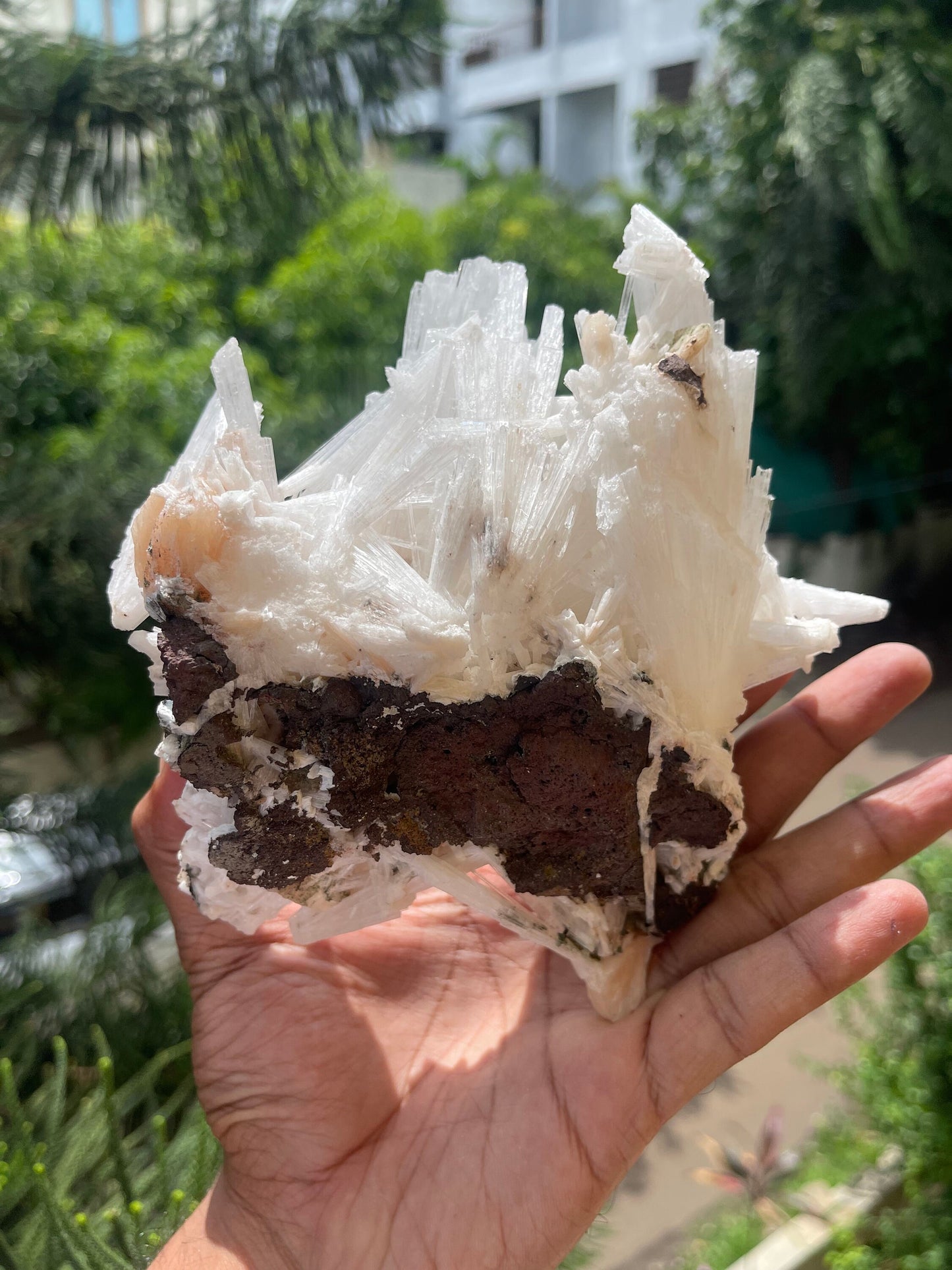 Scolecite crystal with stilbite