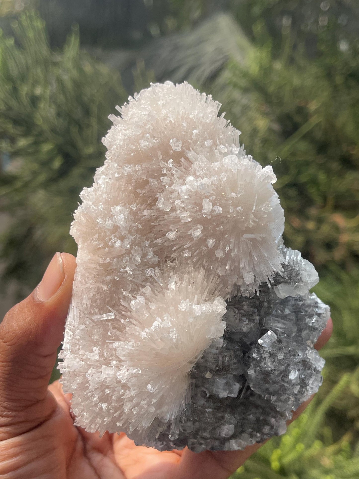Glossy Apophyllite crystals on scolecite flower