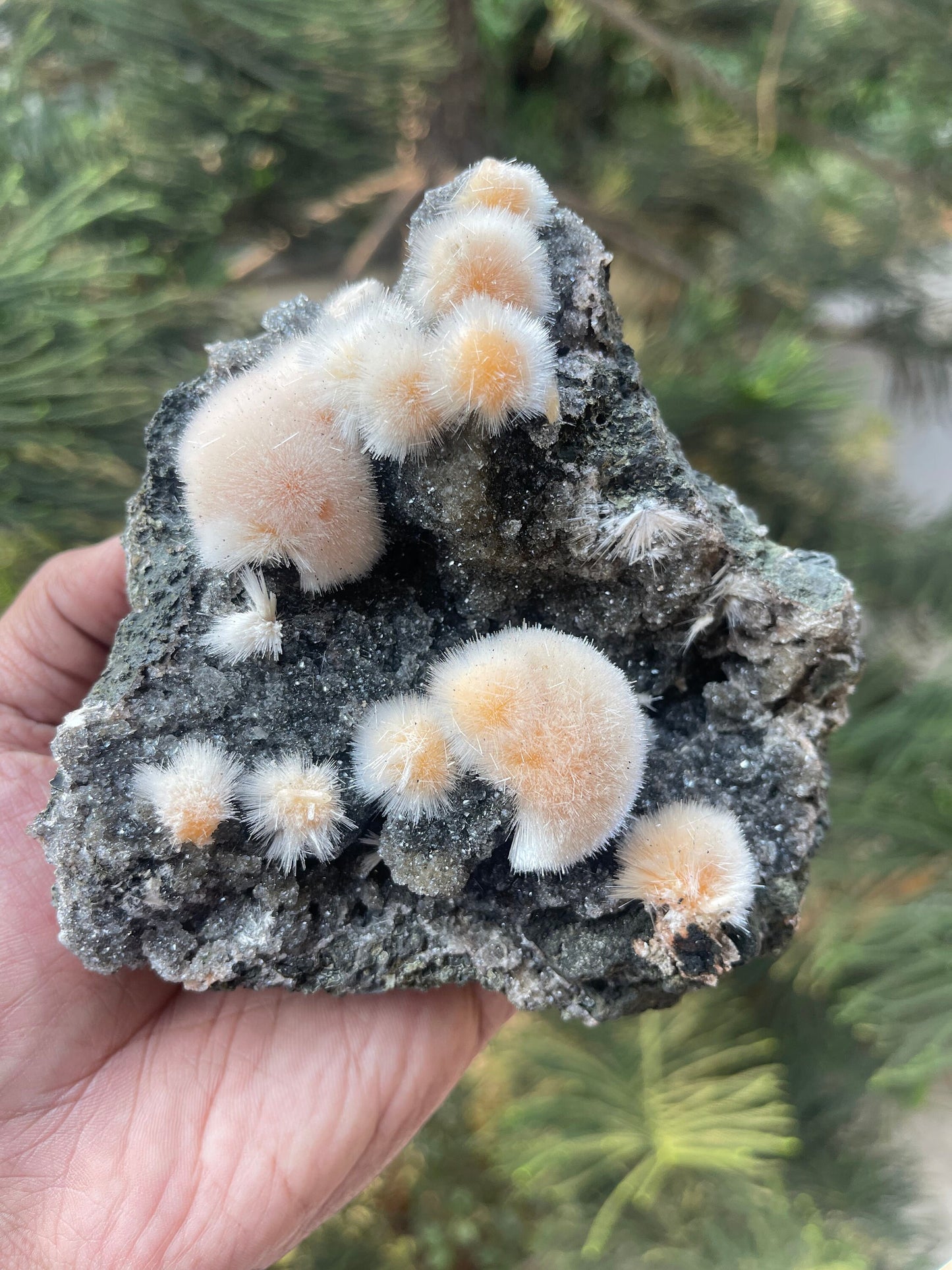 Orange mesolite ball on black matrix