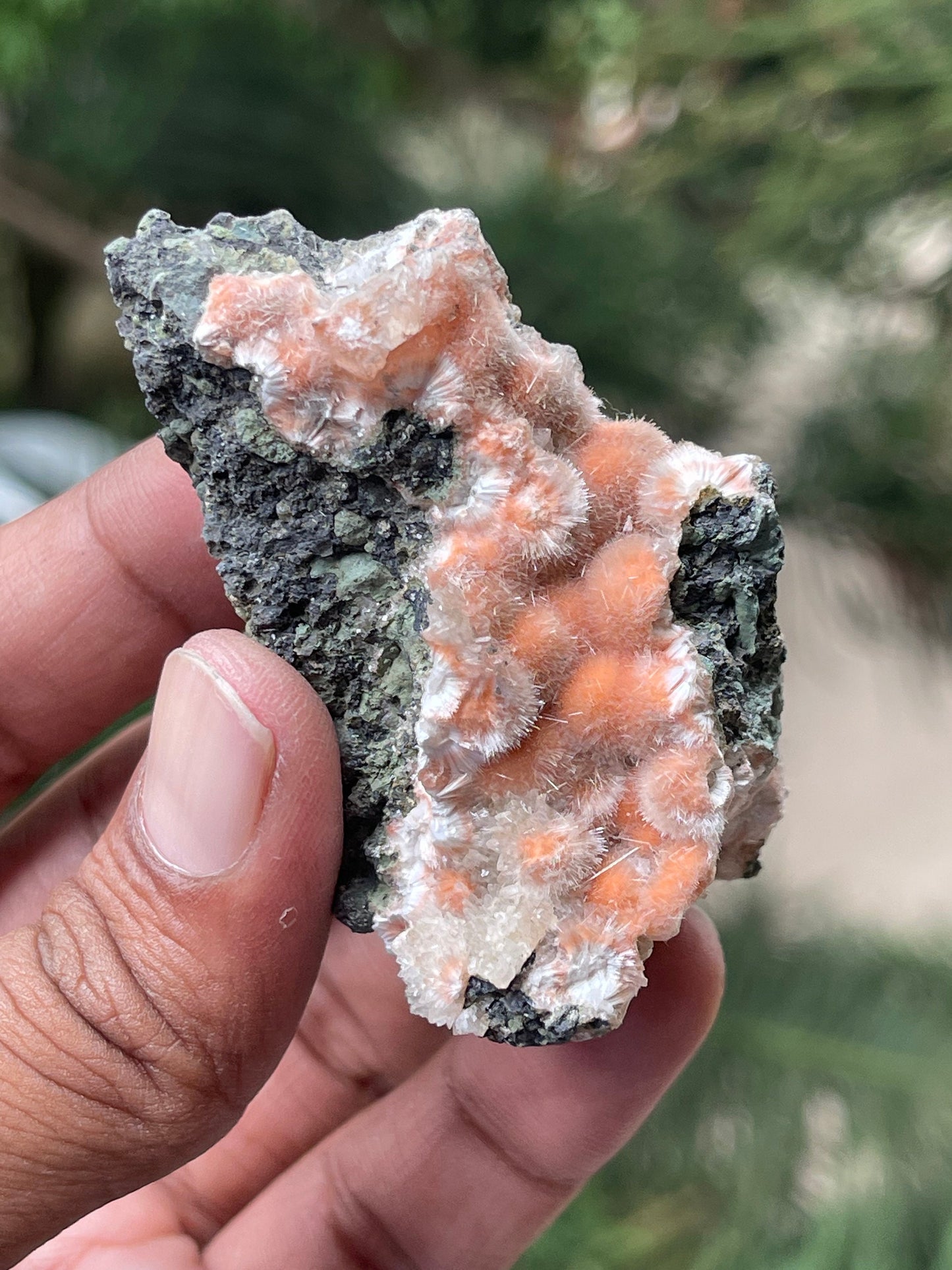 Orange mesolite