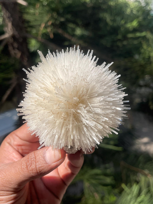 Perfect round of natrolite  flowers on white chalcedony matrix