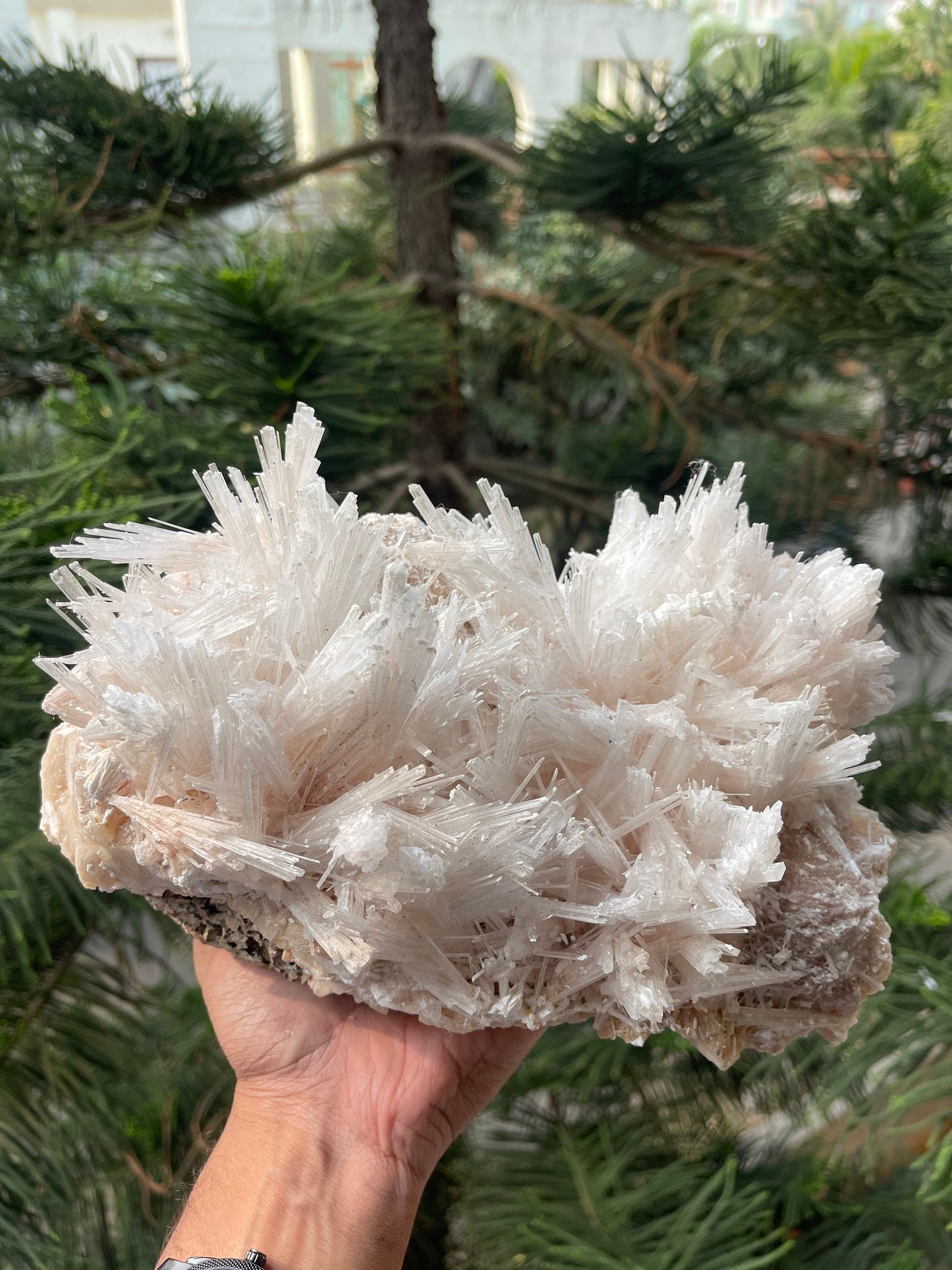 Scolecite spray on stilbite base