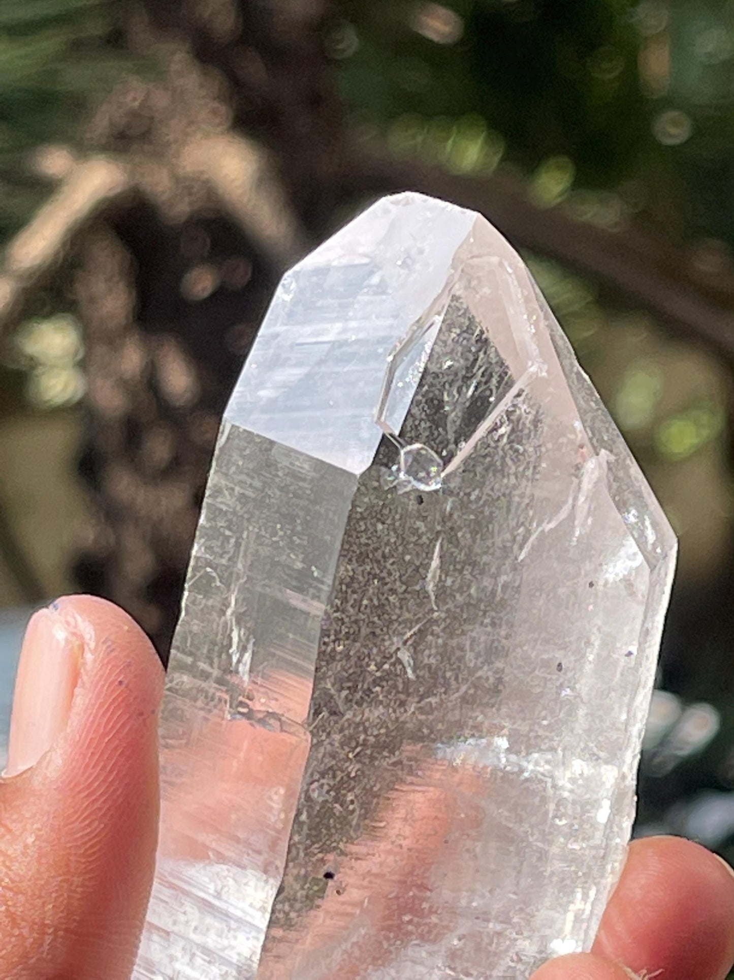 Himalayan quartz floater crystal