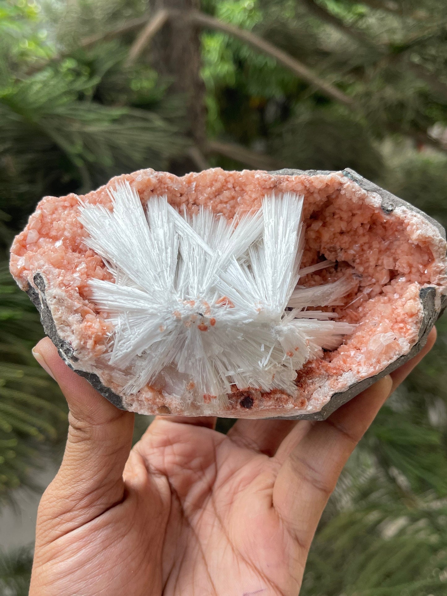 Scolecite sprays on orange heulandite matrix
