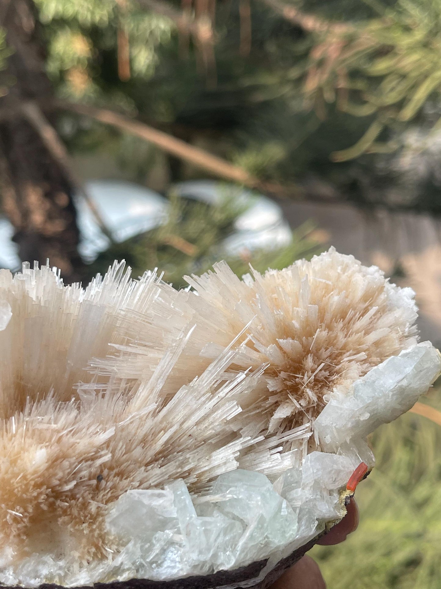Pink scolecite flower with green apophyllite crystals