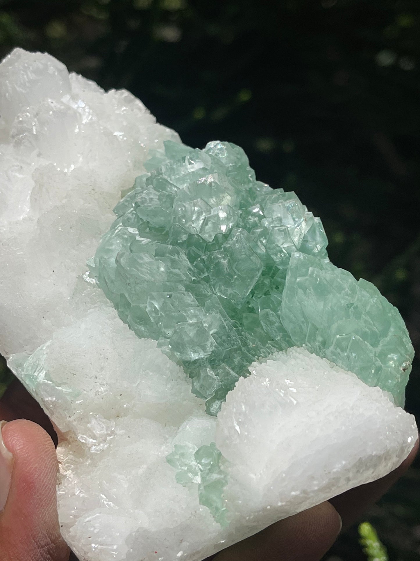 Green apophyllite flower with glossy stilbite natural specimens