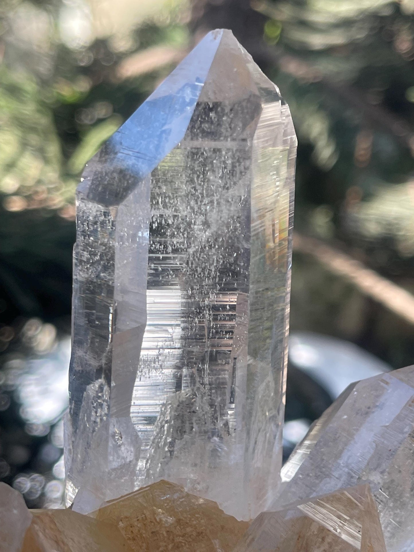 water clear Himalayan cathedral quartz crystal on matrix
