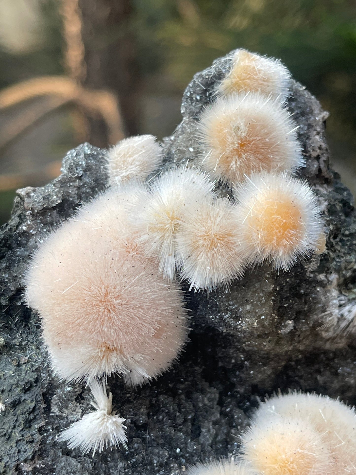 Orange mesolite ball on black matrix