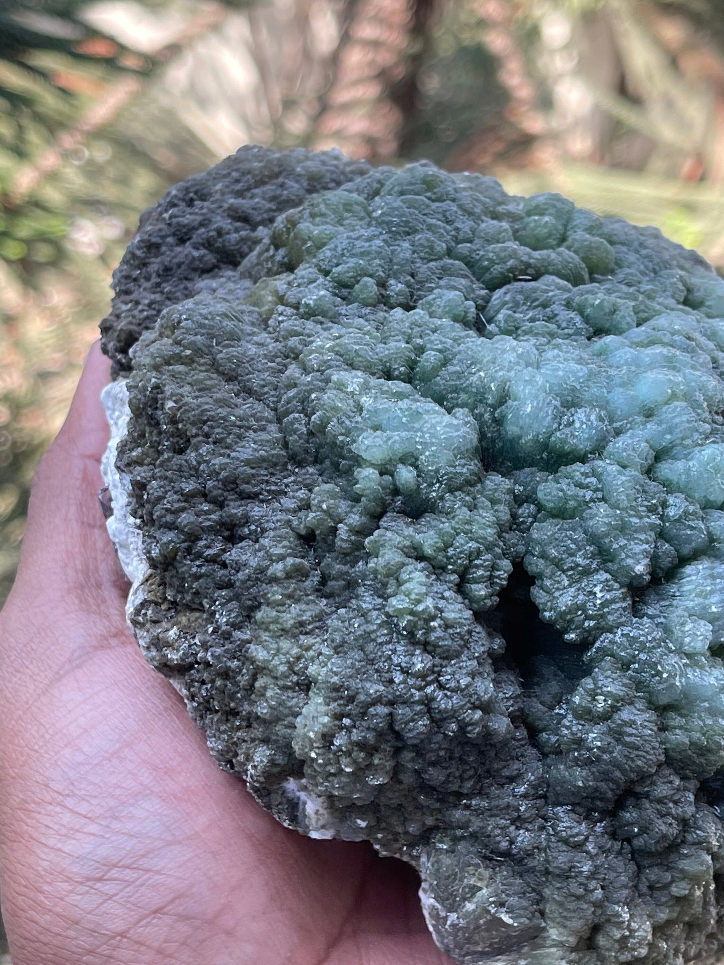 Rare specimens green stilbite on mordenite base