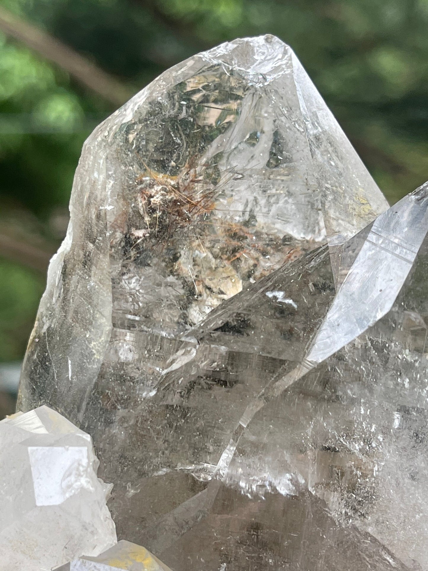 Twin clear cathedral Himalayan quartz with golden rutile