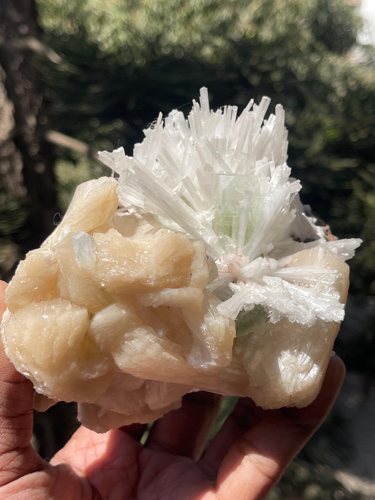 Green Apophyllite crystal  on Scolecite Flower with Peach Stilbite