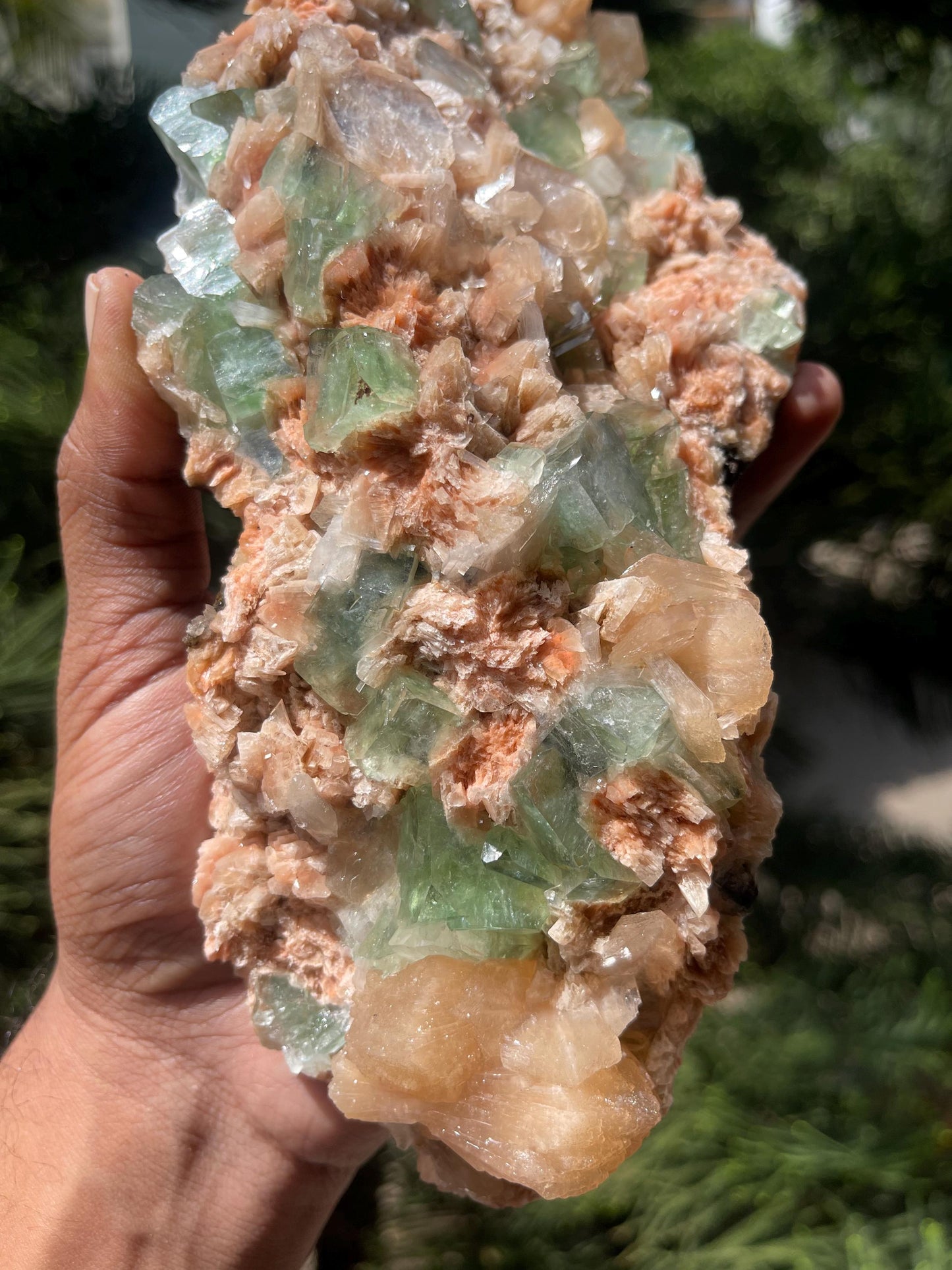 Dark green apophyllite cubes with stilbite