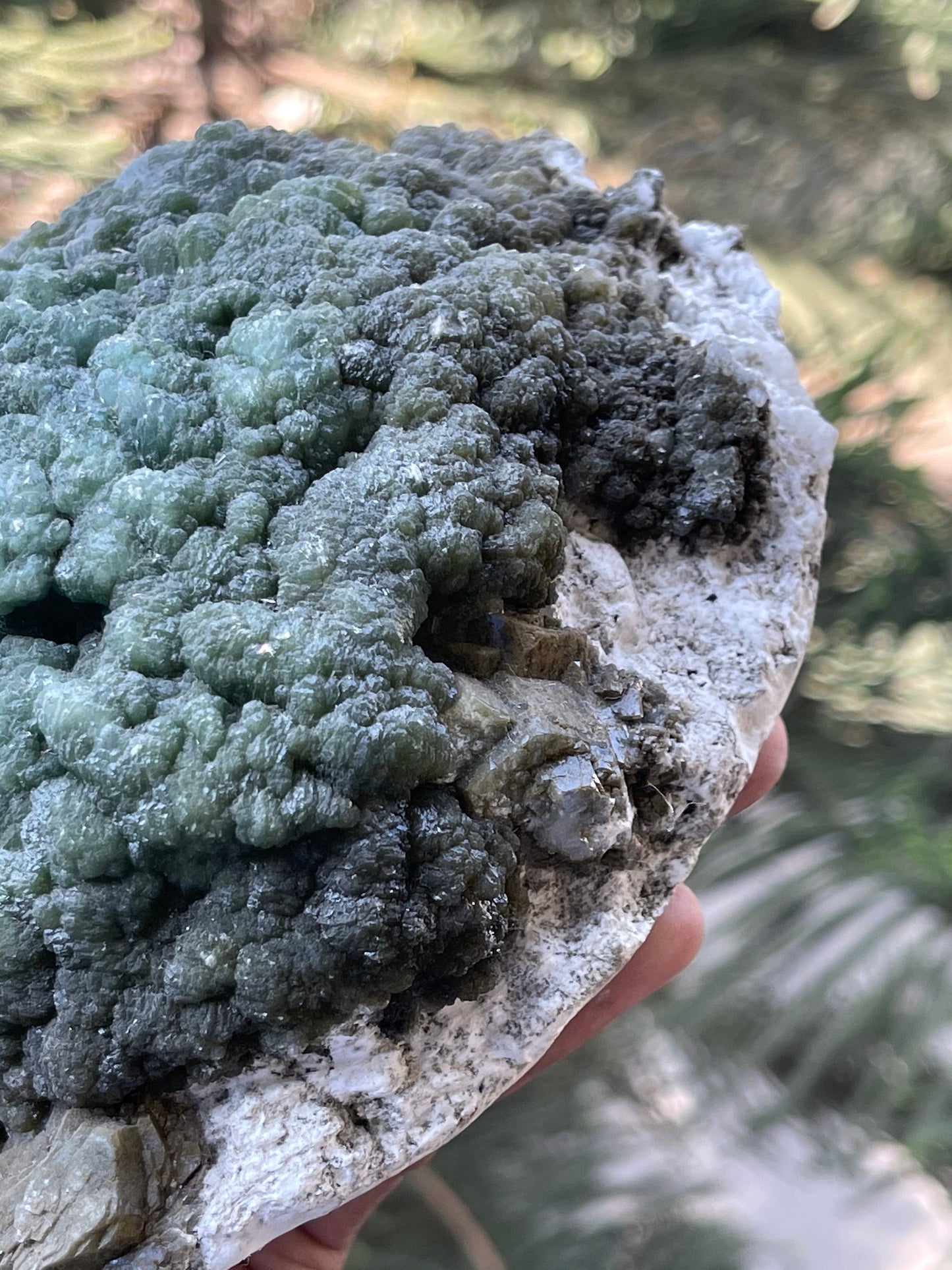 Rare specimens green stilbite on mordenite base