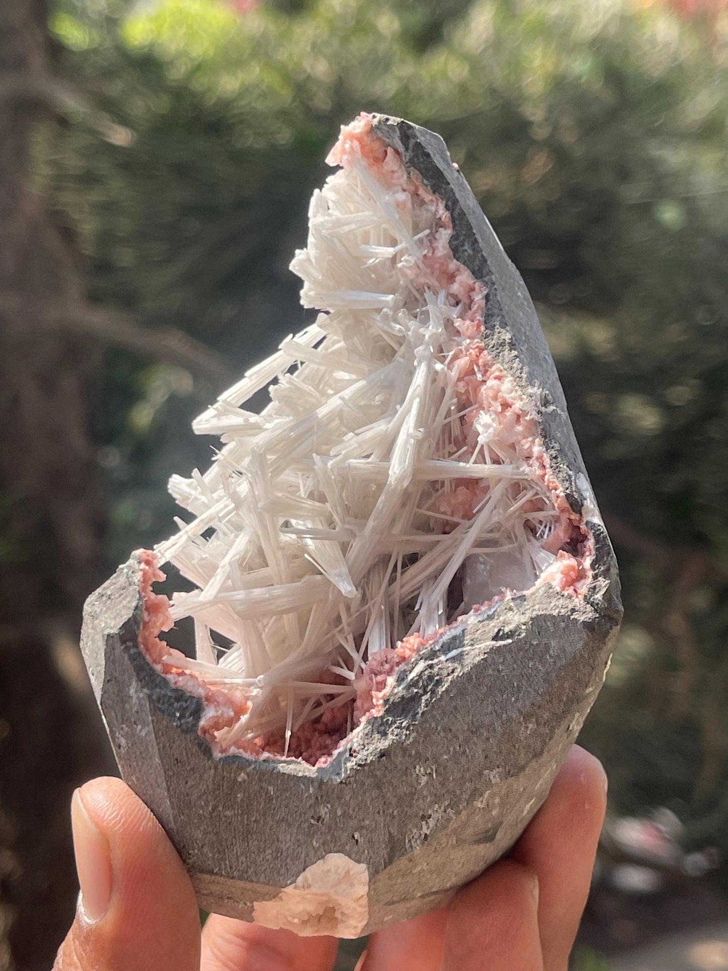 scolecite spray on orange heulandite matrix