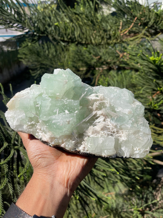 Green cubicle apophyllite with scolecite minerals specimen