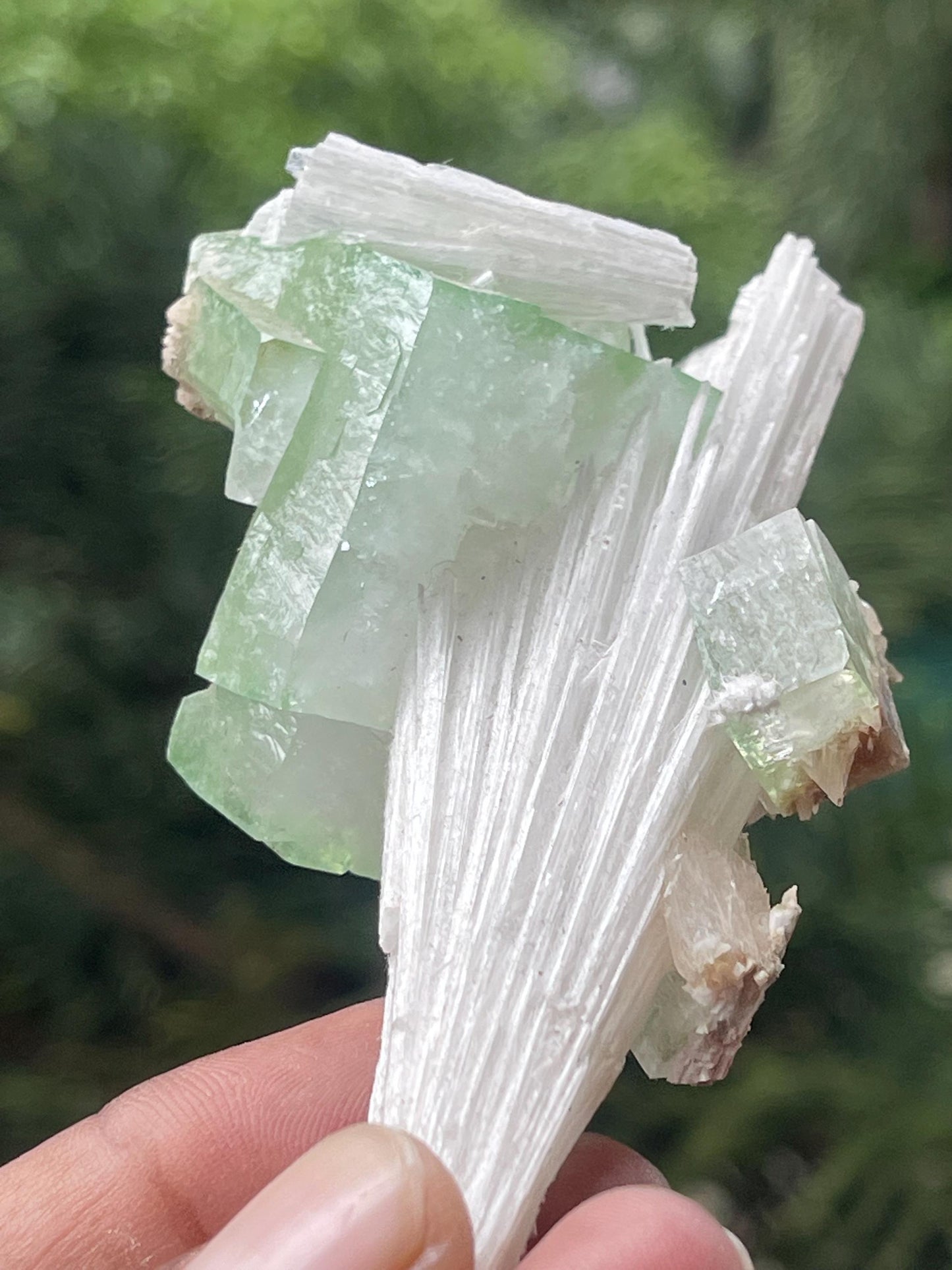 Green apophyllite crystal on scolecite spray natural specimen