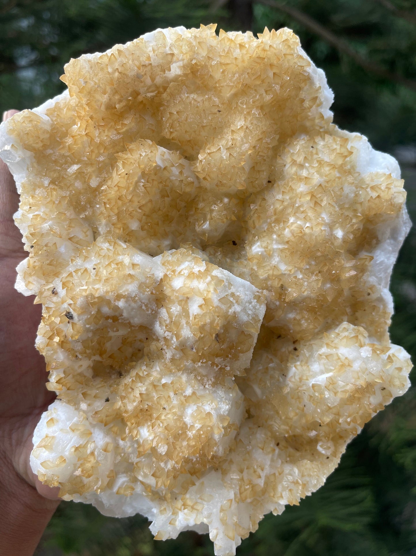 Golden calcite crystal on white apophyllite