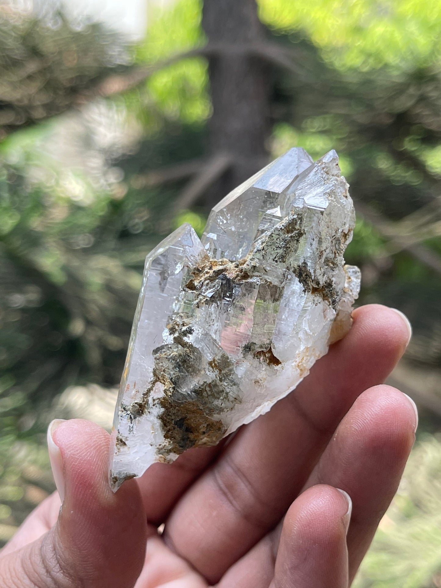 chlorite included Twin Quartz Crystals with unique formation- Himachal Pradesh