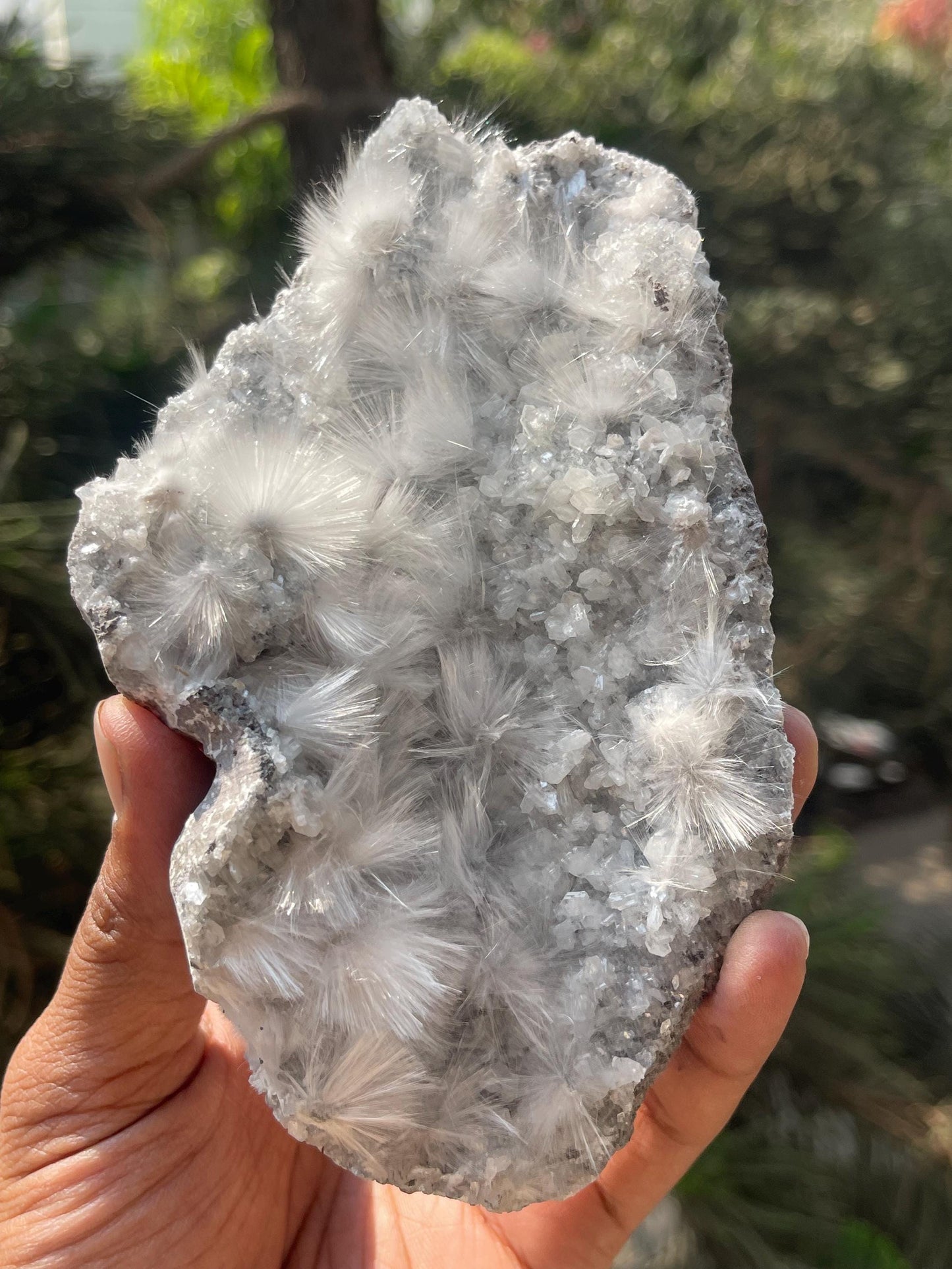 new find mesolite flowers on heulandite matrix