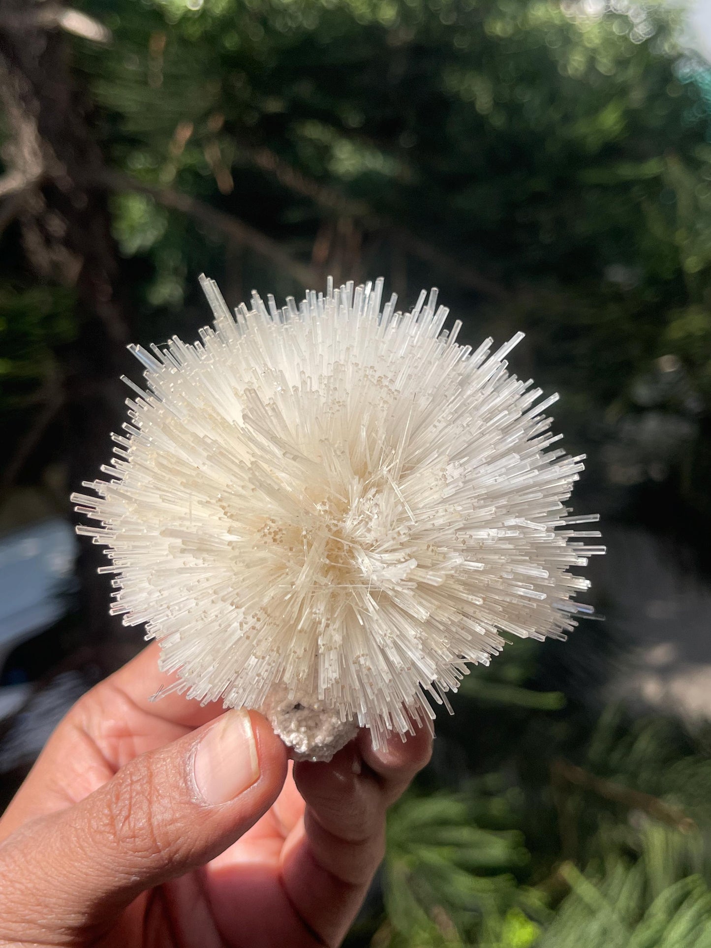 Perfect round of natrolite  flowers on white chalcedony matrix