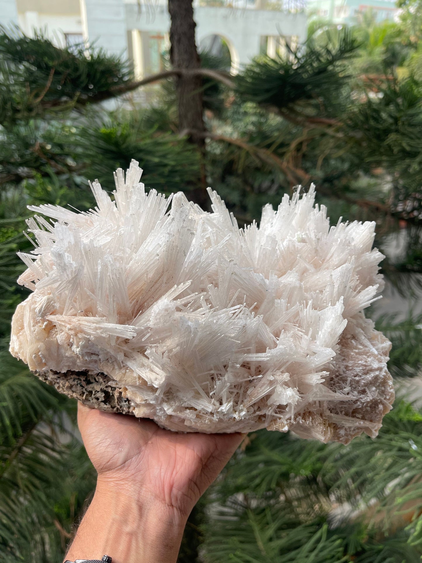 Scolecite spray on stilbite base
