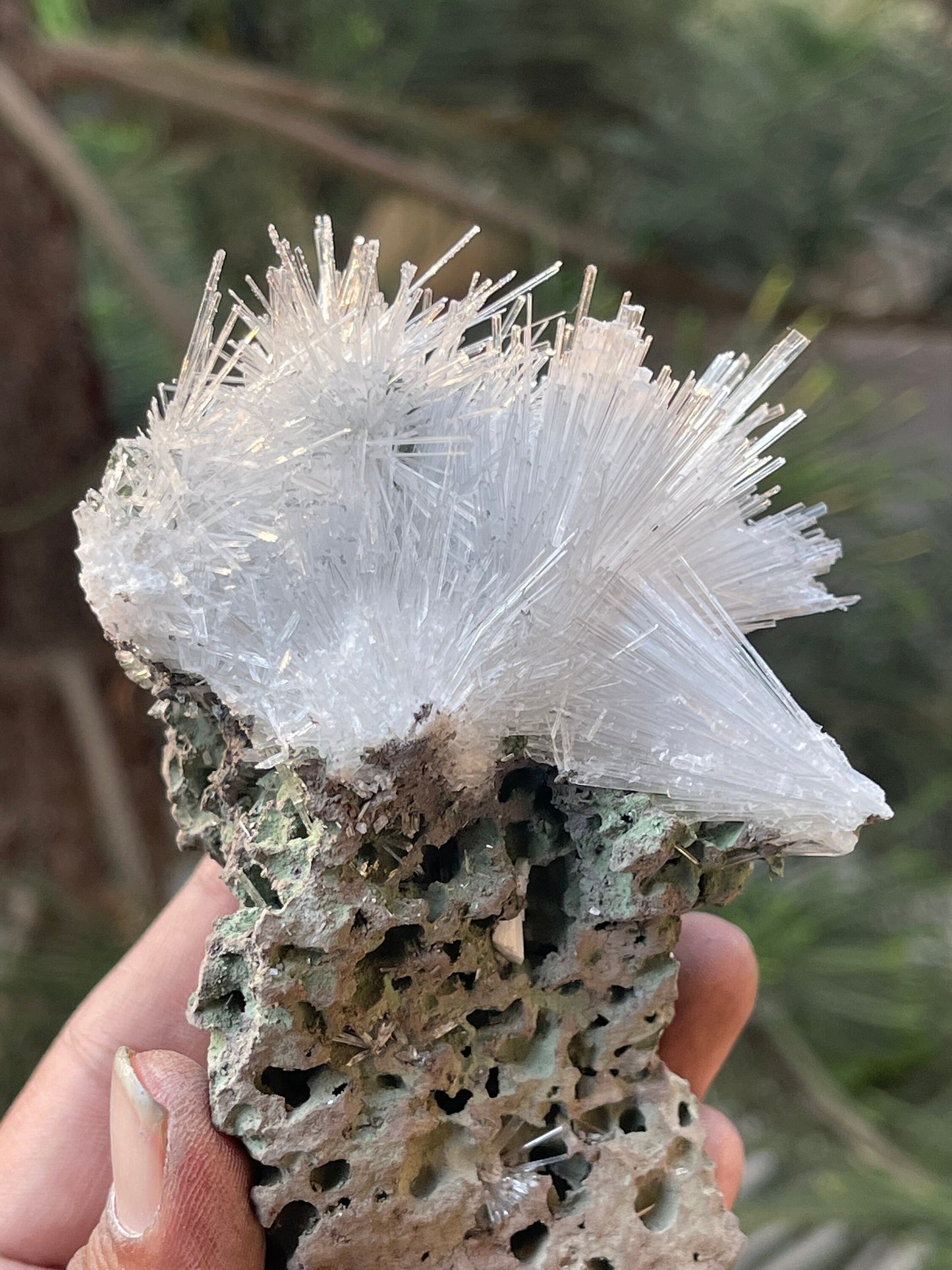 Scolecite crystals on matrix
