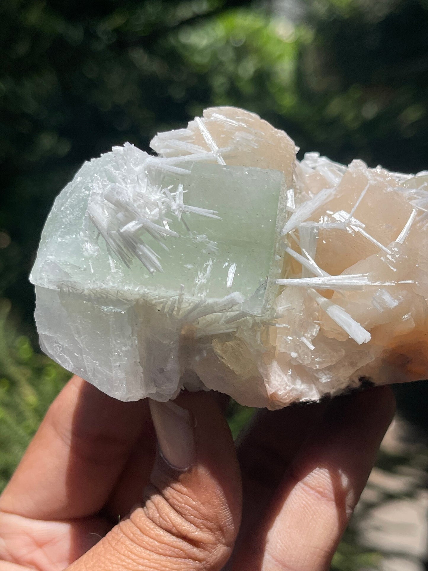 Green apophyllite crystal with stilbites and scolecite