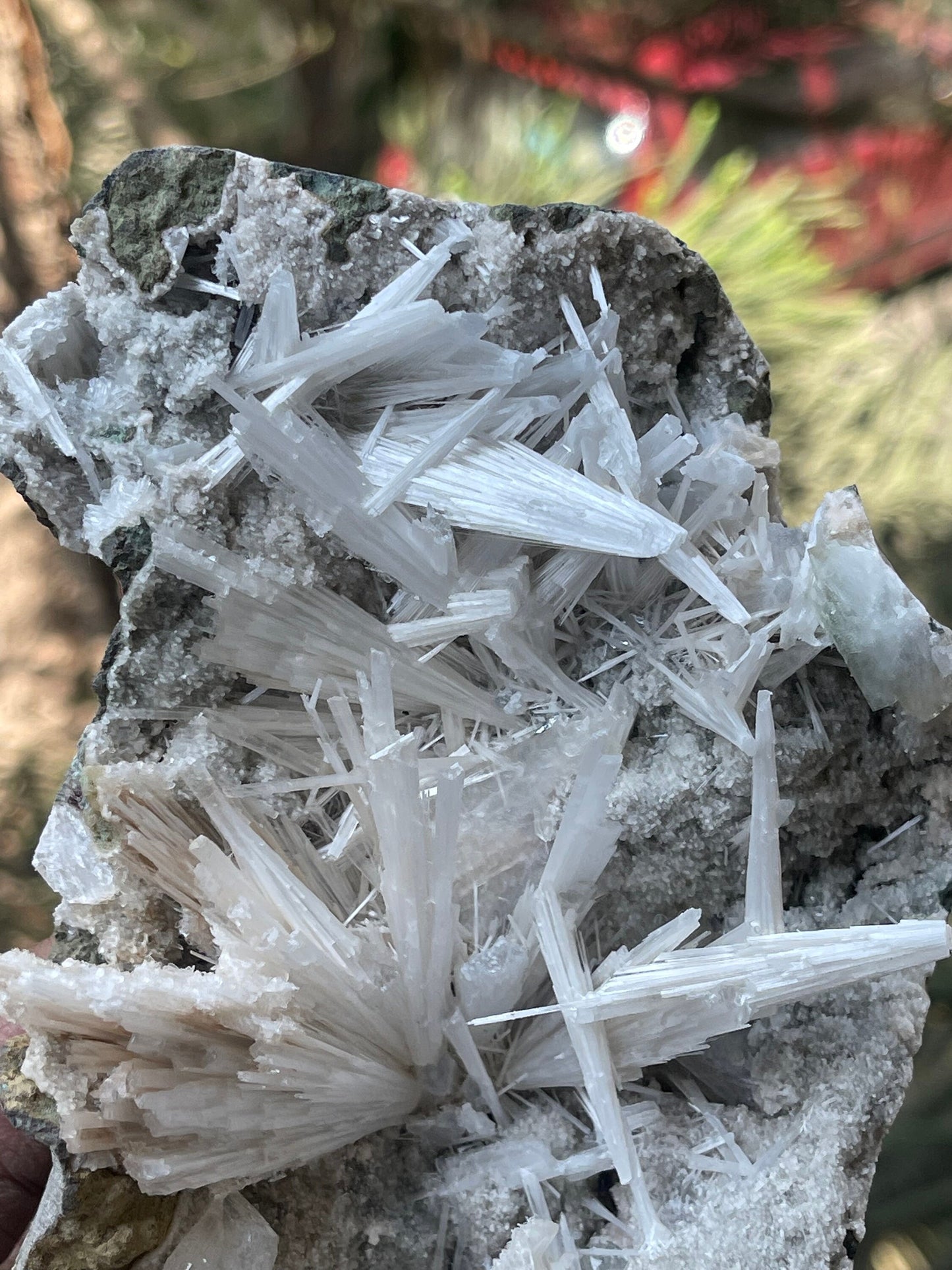Shiney scolecite spray with stilbite/heulandite/green apophyllite
