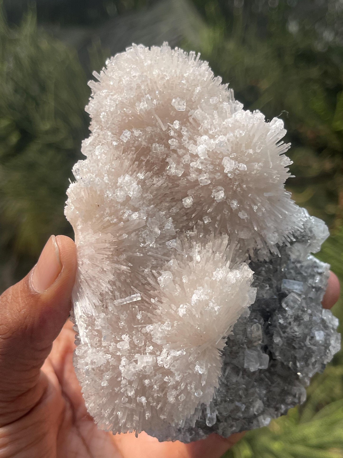 Glossy Apophyllite crystals on scolecite flower