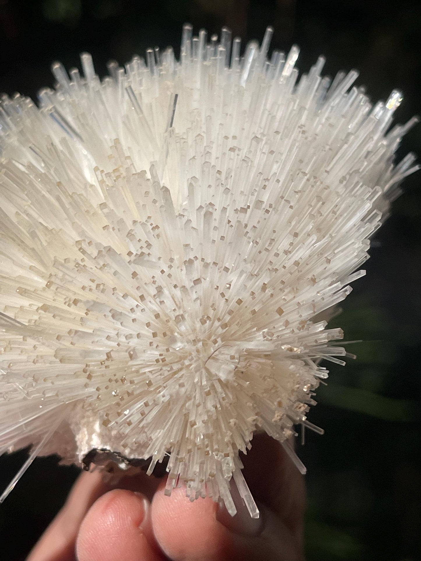 Perfect round of natrolite  flowers on white chalcedony matrix