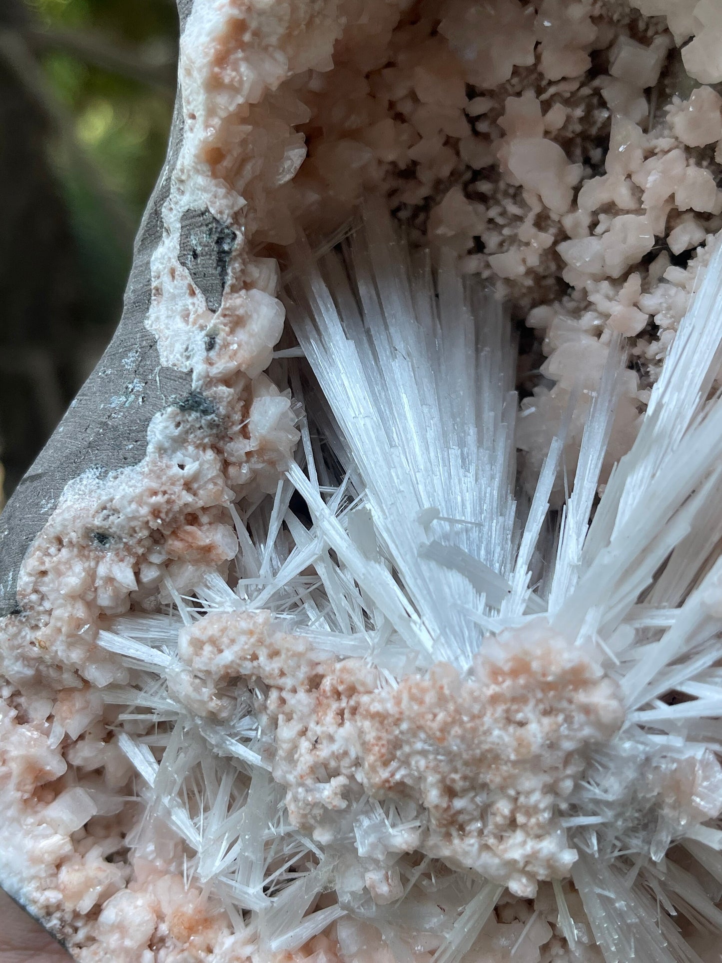 Scolecite spray with orange heulandite crystals inside geode natural specimen