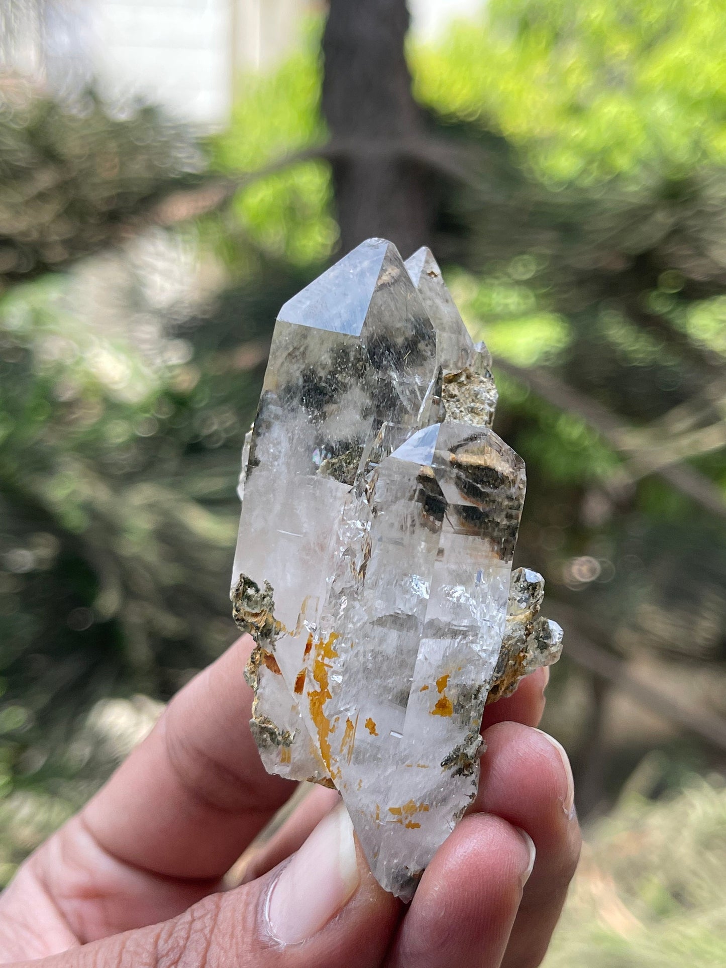 chlorite included Twin Quartz Crystals with unique formation- Himachal Pradesh
