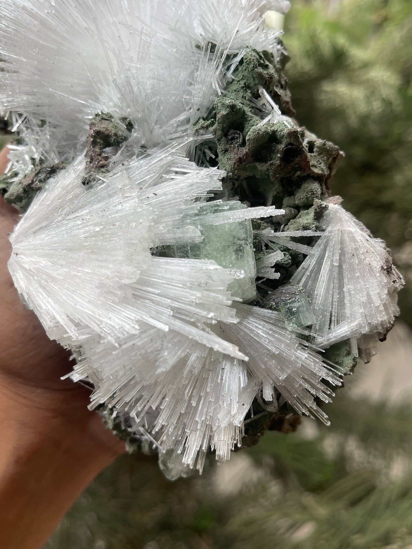 Scolecite flower with green apophyllite crystal on matrix