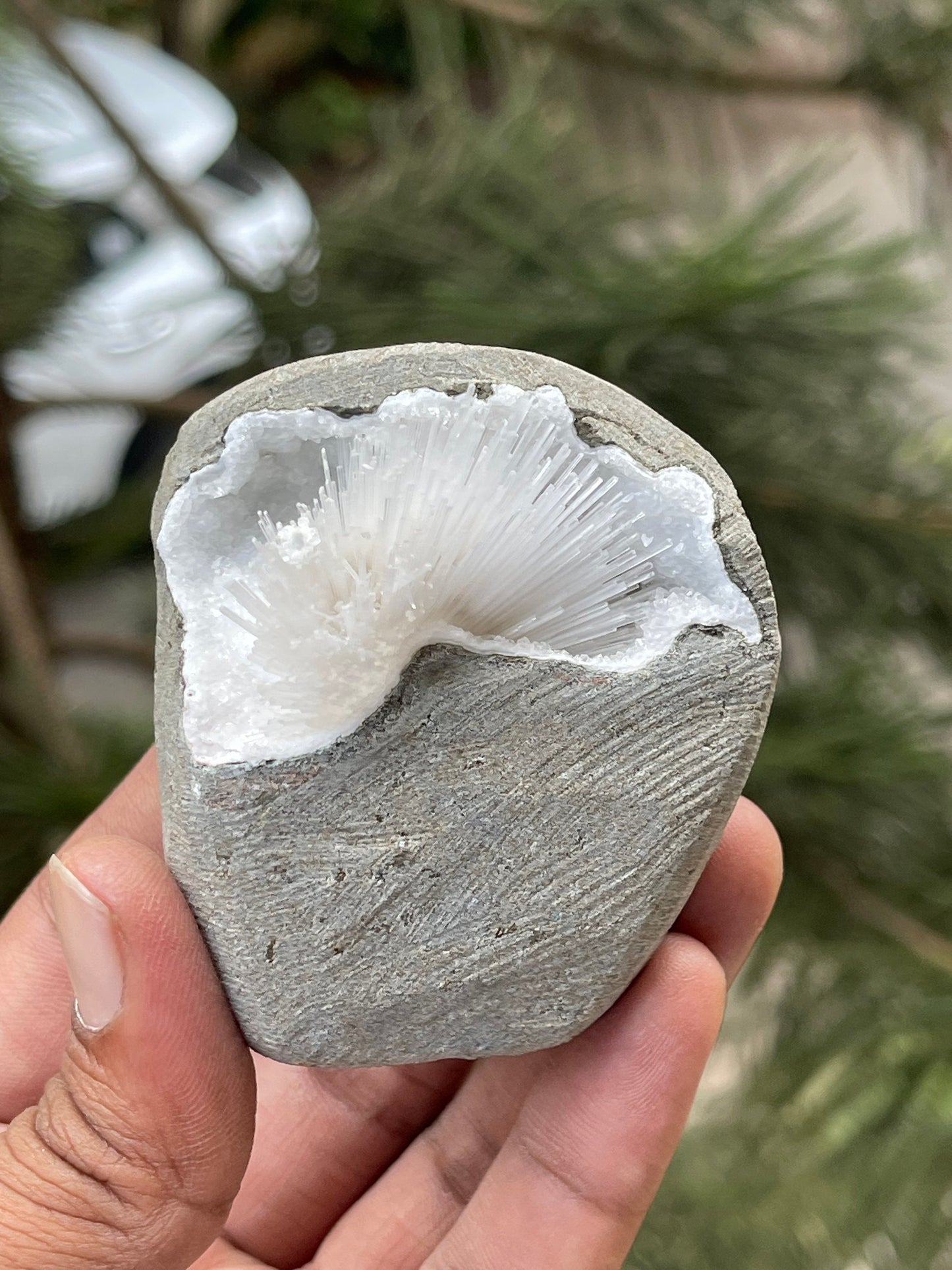 Scolecite flower inside geode