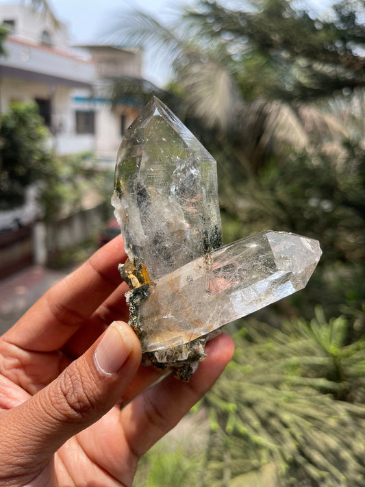 Twin Himalayan Chlorite Quartz Crystal with golden rutile