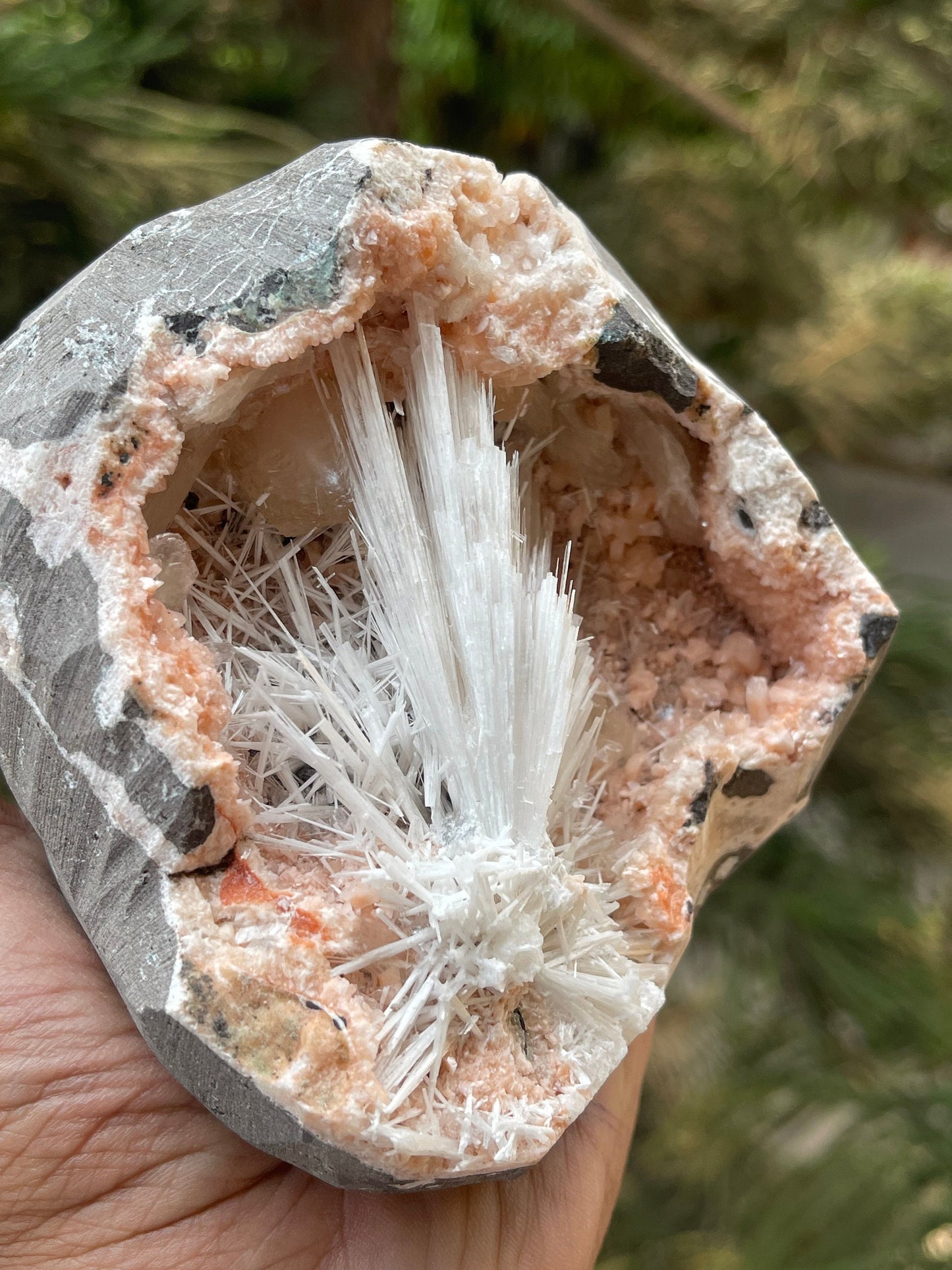 Scolecite flower inside orange haulandite geode