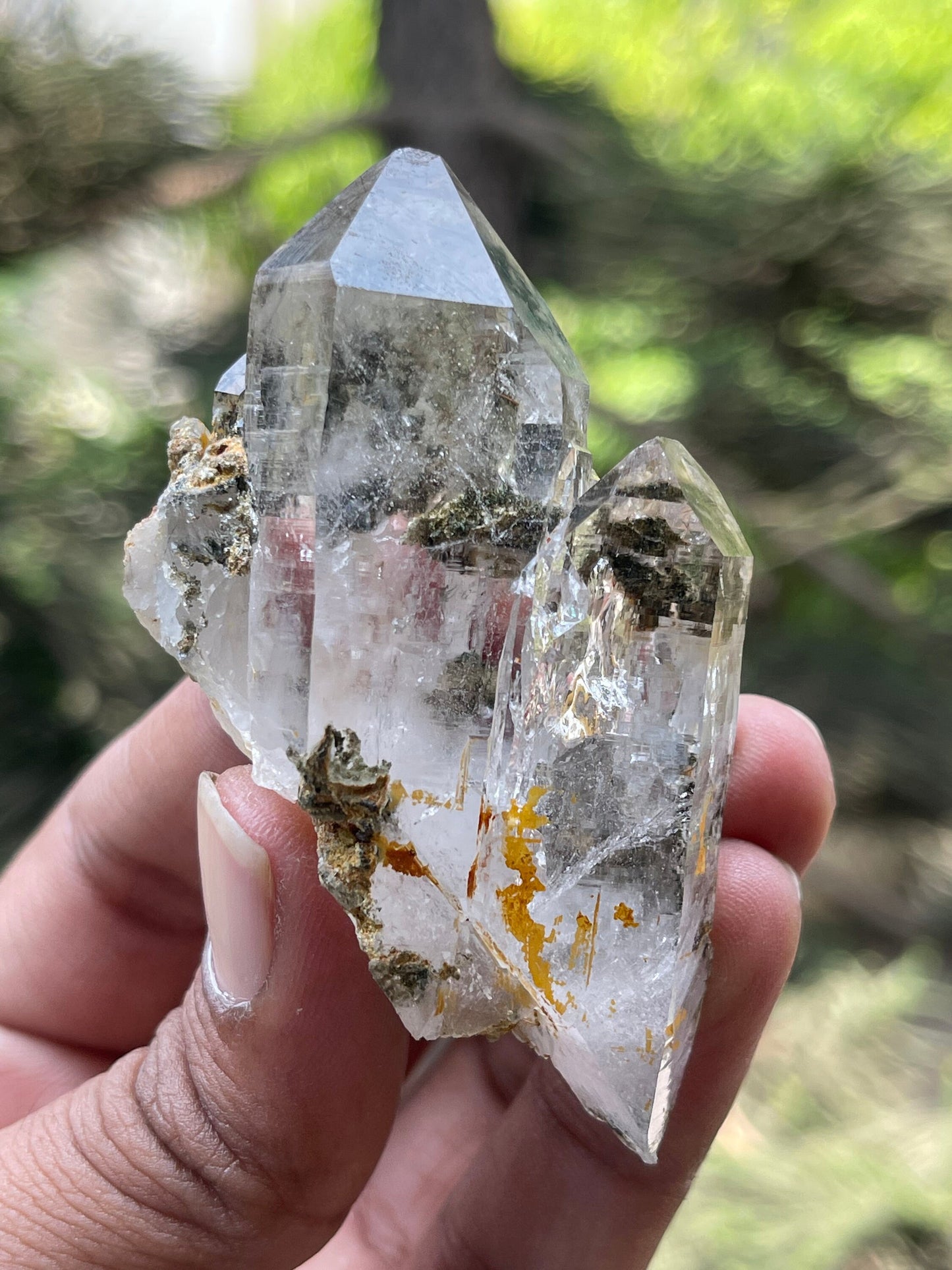 chlorite included Twin Quartz Crystals with unique formation- Himachal Pradesh