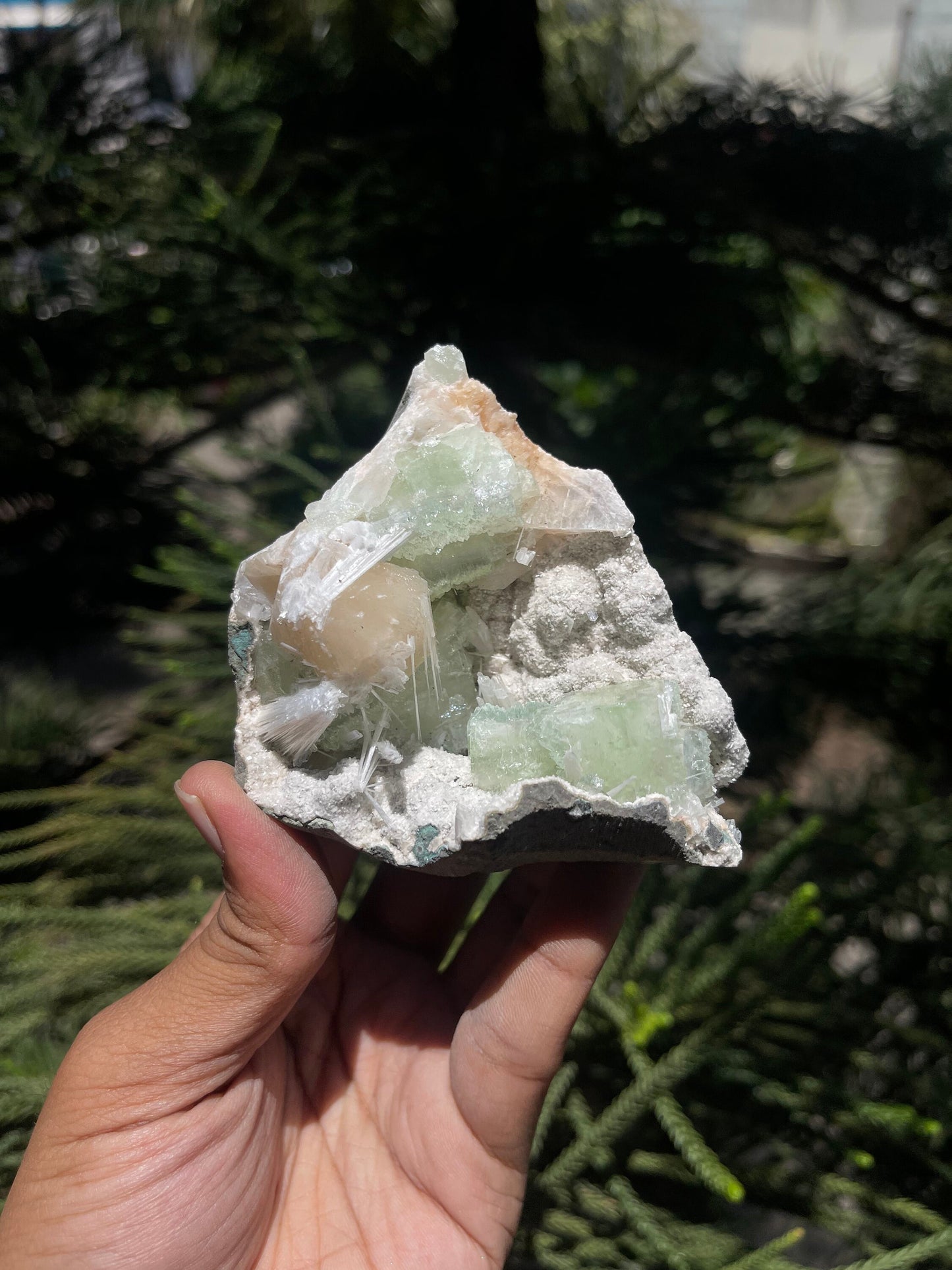 Green apophyllite crystal with stilbite/scolecite
