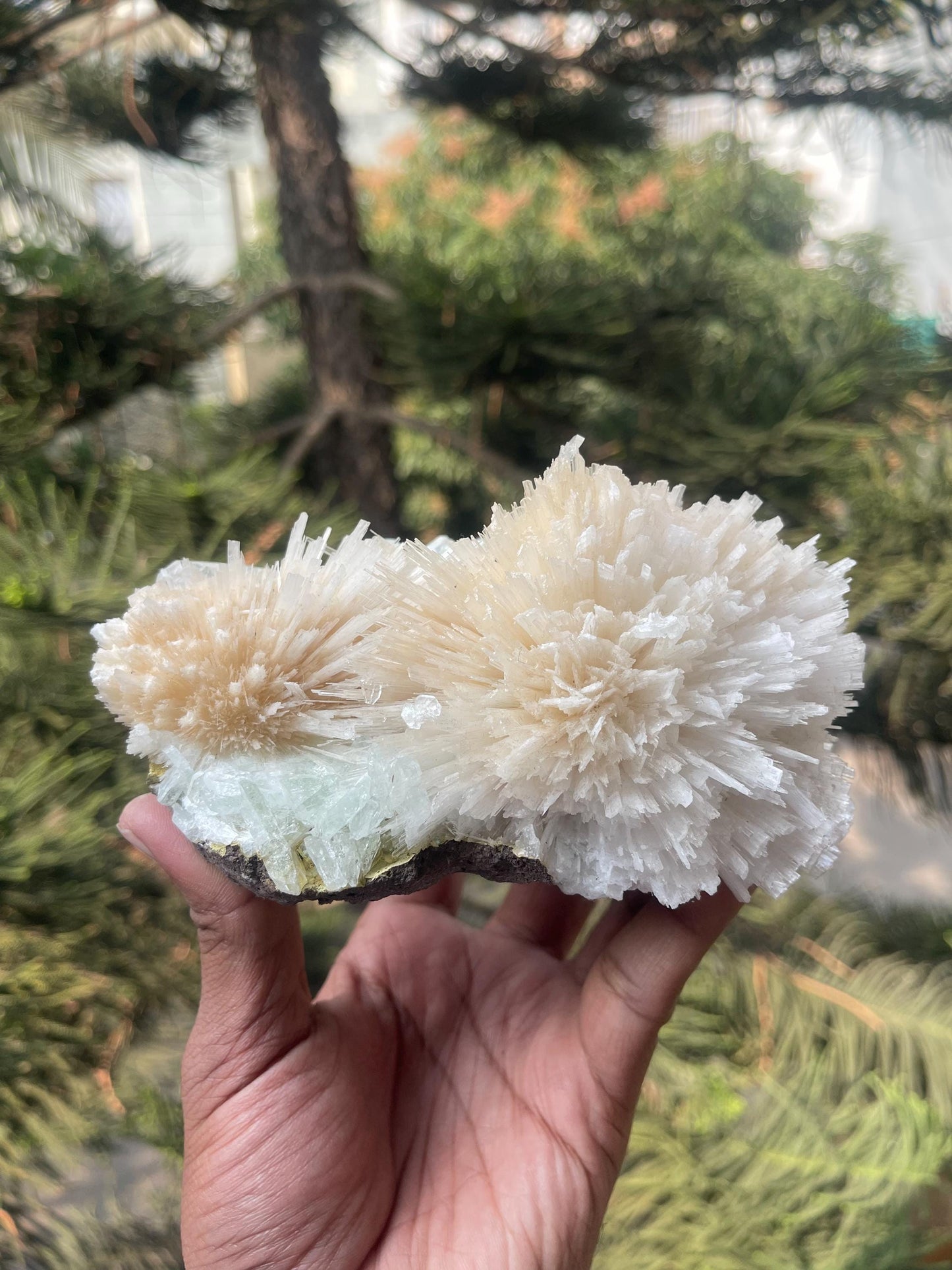 Pink scolecite flower with green apophyllite crystals