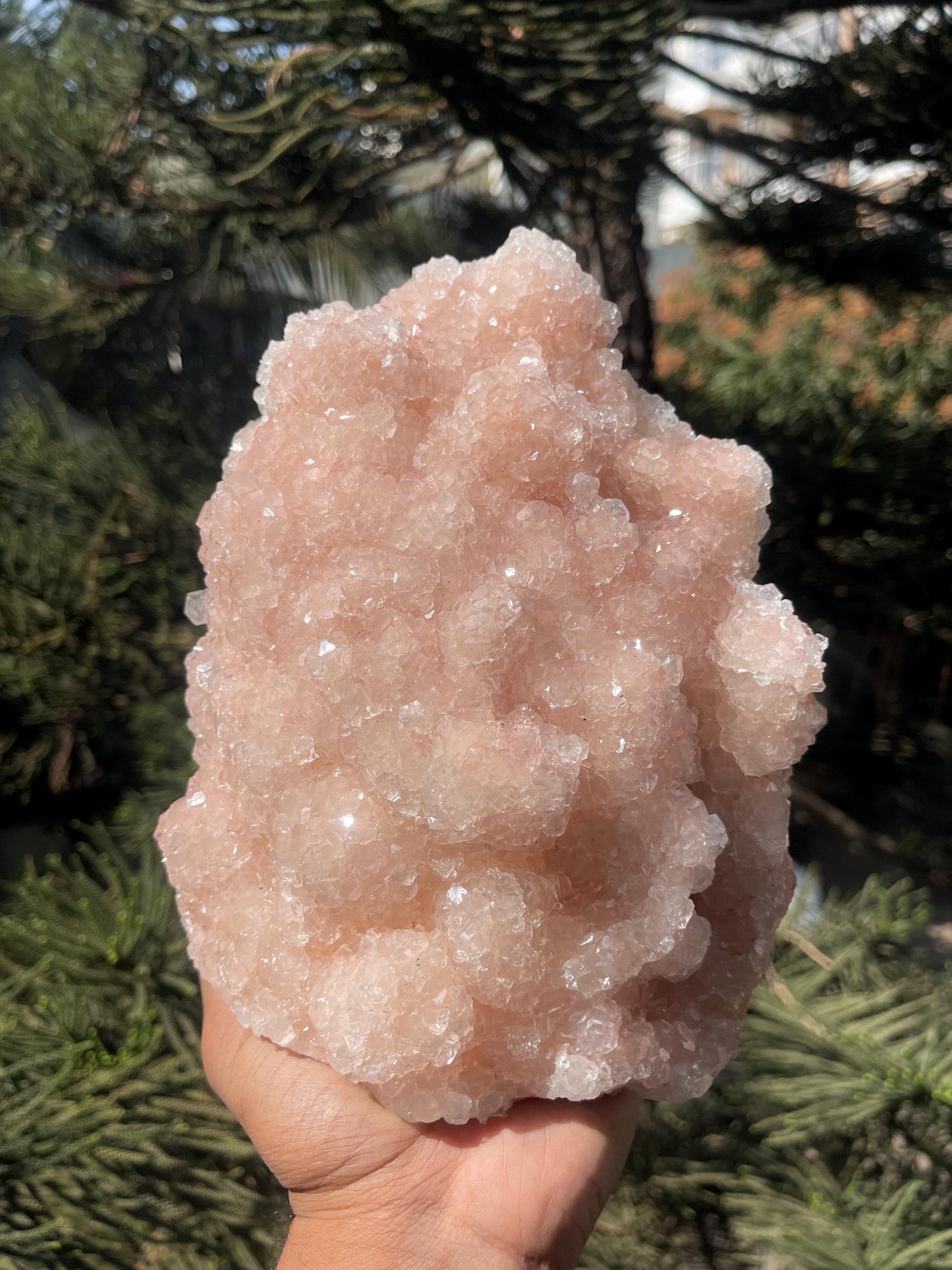 glossy pink apophyllite mineral specimen