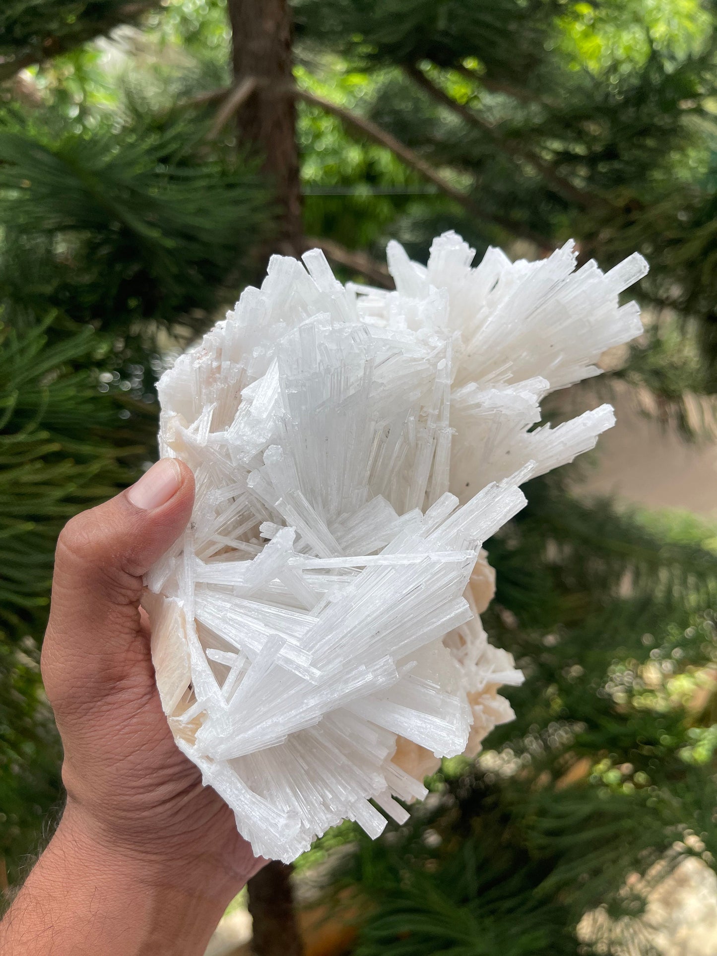 Glossy scolecite spray on orange stilbite crystal natural specimen