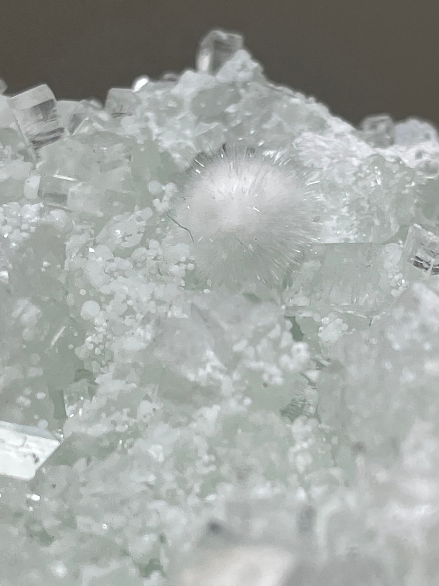 Okenite ball on green prehnite with apophyllite