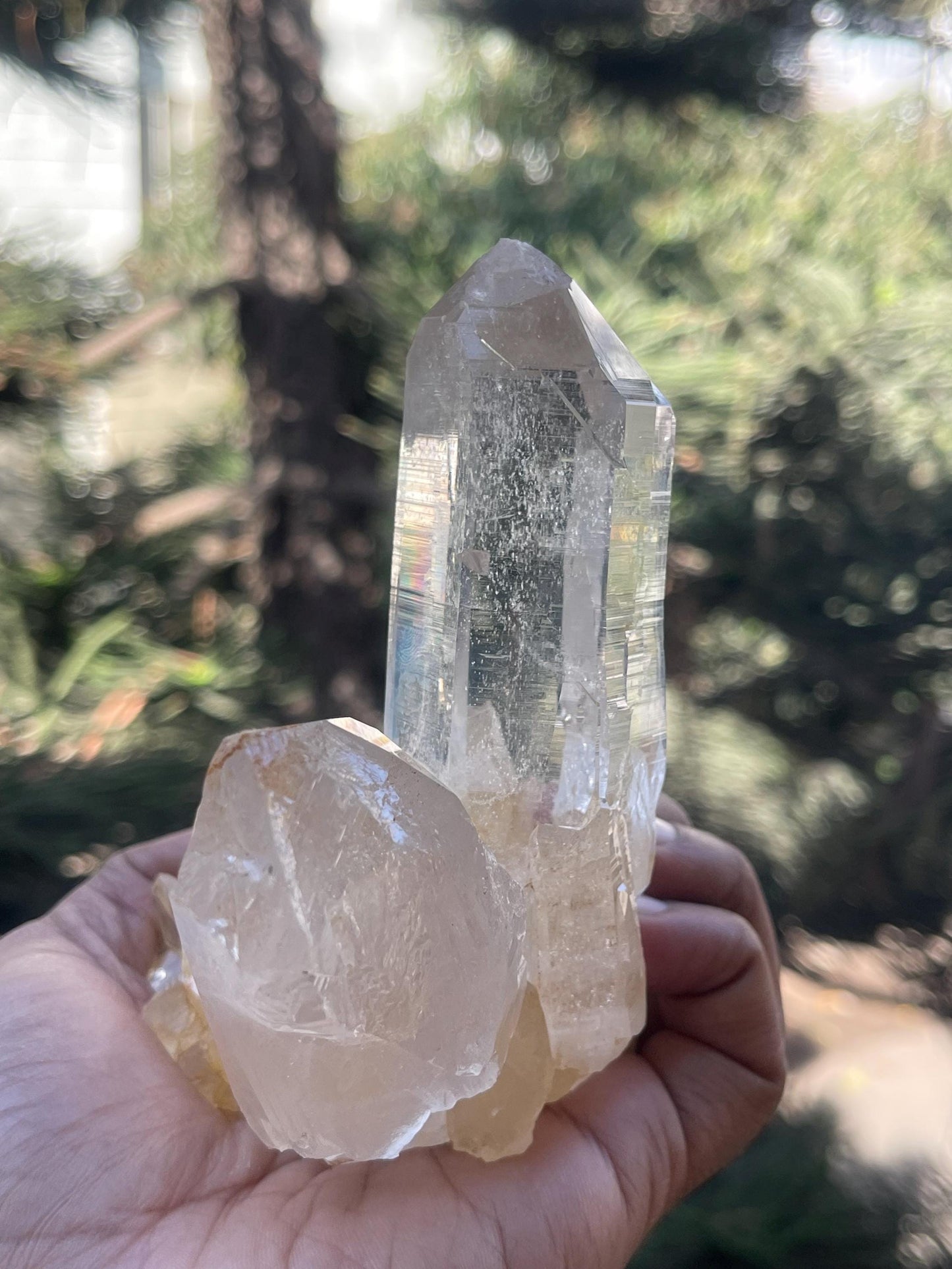 water clear Himalayan cathedral quartz crystal on matrix