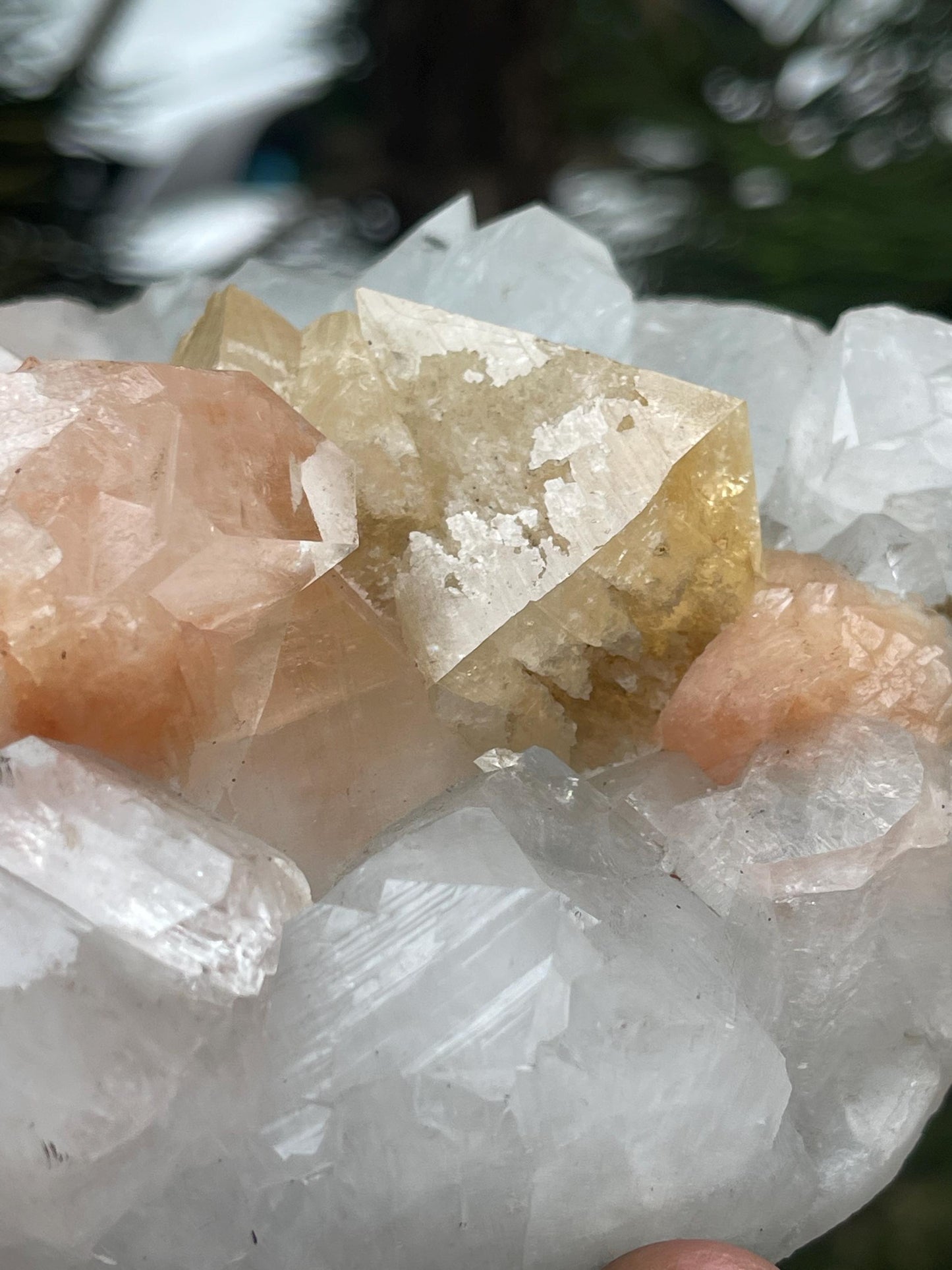 Large size of powellite crystal with orange stilbite/apophyllite