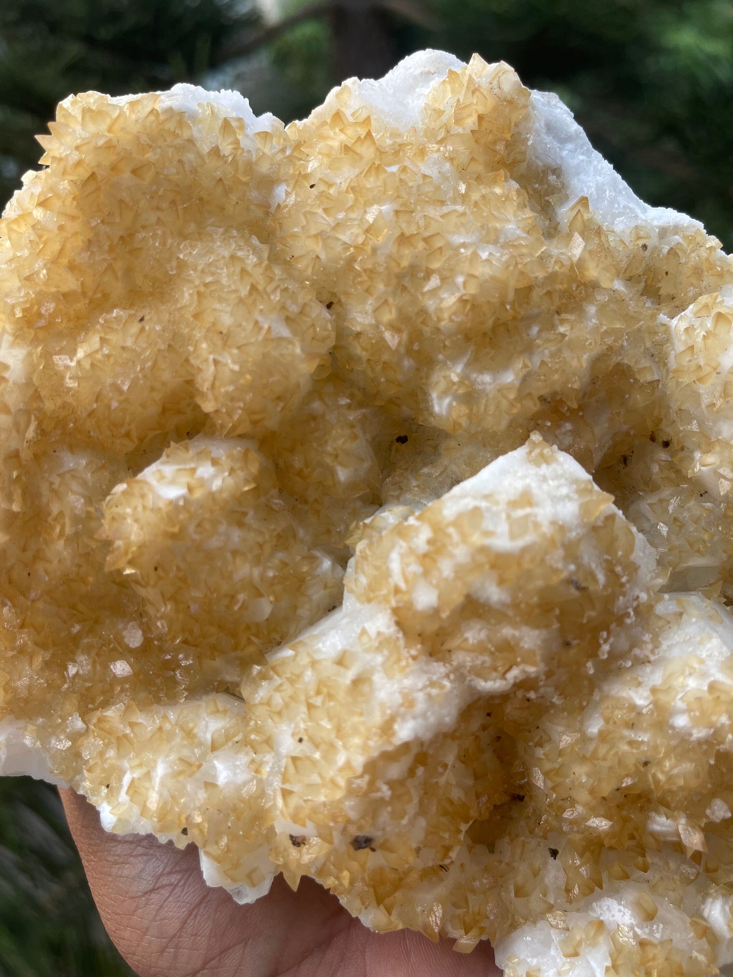 Golden calcite crystal on white apophyllite