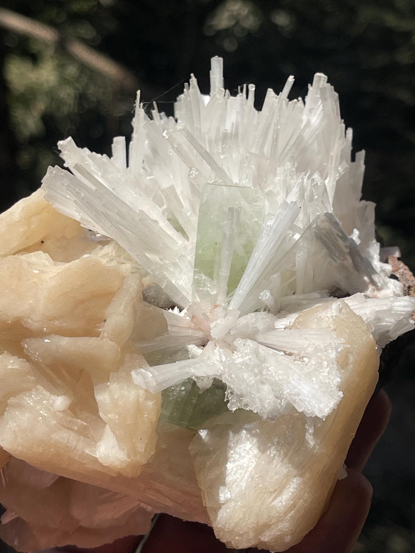 Green Apophyllite crystal  on Scolecite Flower with Peach Stilbite