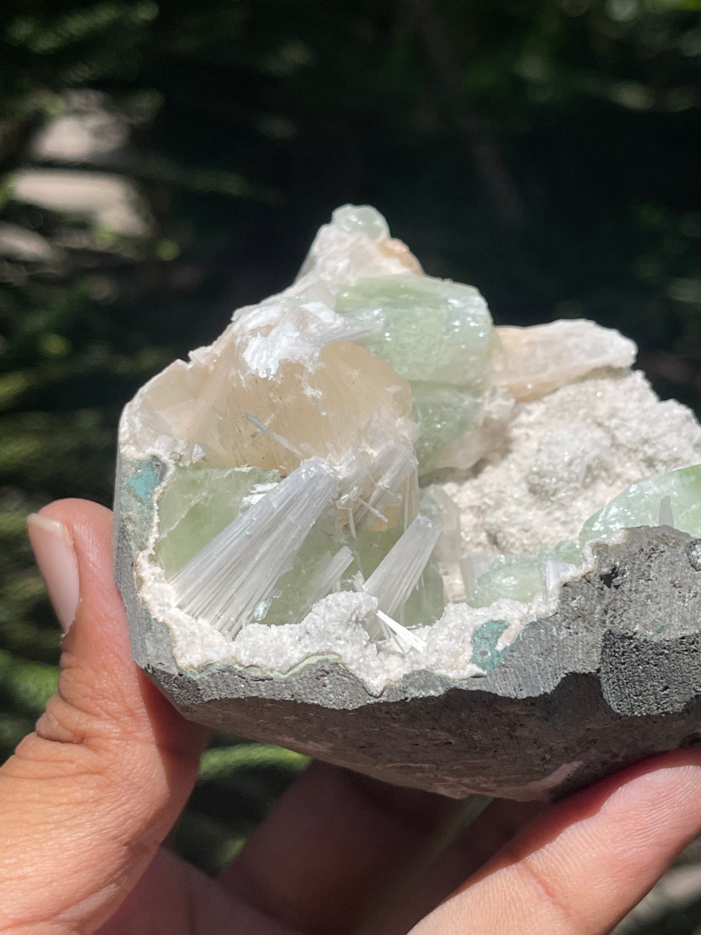 Green apophyllite crystal with stilbite/scolecite