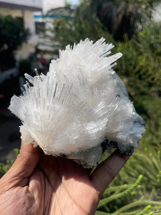 Scolecite with green apophyllite on matrix